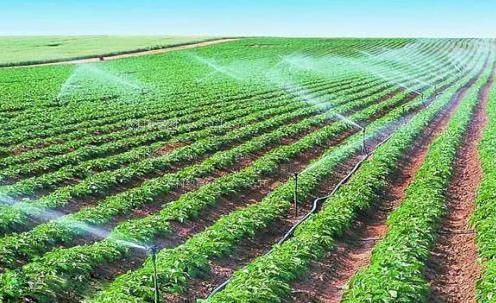 看操美女的逼农田高 效节水灌溉
